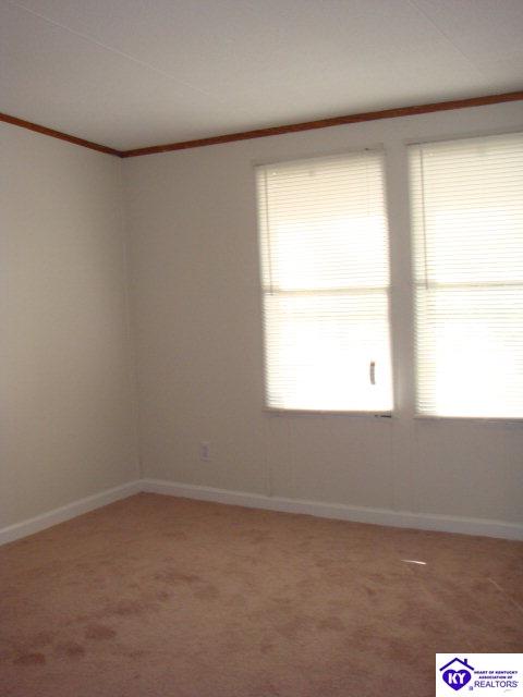 Listing Picture 120 Zinfandel Court Ekron, KY 40117 MLS HK10002617