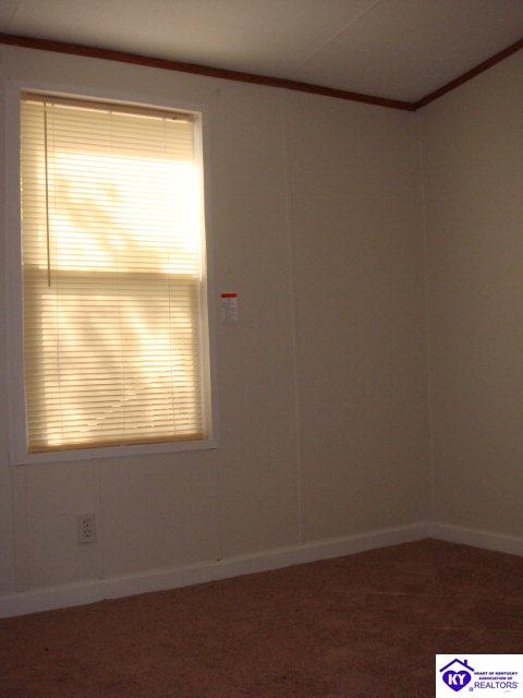 Listing Picture 120 Zinfandel Court Ekron, KY 40117 MLS HK10002617