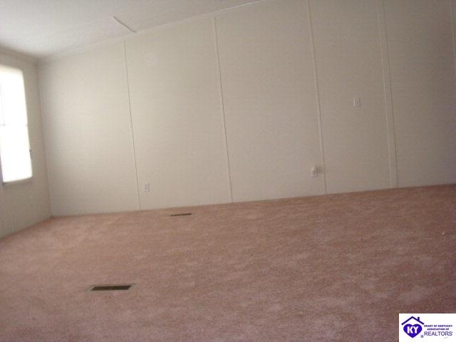 Listing Picture 120 Zinfandel Court Ekron, KY 40117 MLS HK10002617