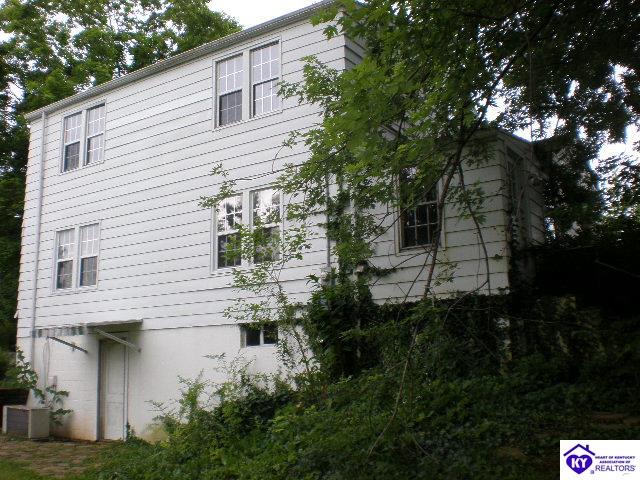 Listing Picture 216 S Walters Avenue Hodgenville, KY 42748 MLS HK10002622