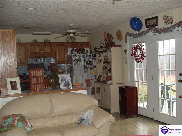 Listing Picture 1725 Mt Sherman Ward Road Magnolia, KY 42757 MLS HK10002974