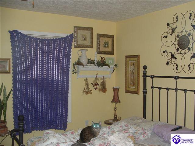 Listing Picture 1725 Mt Sherman Ward Road Magnolia, KY 42757 MLS HK10002974