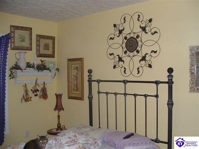 Listing Picture 1725 Mt Sherman Ward Road Magnolia, KY 42757 MLS HK10002974