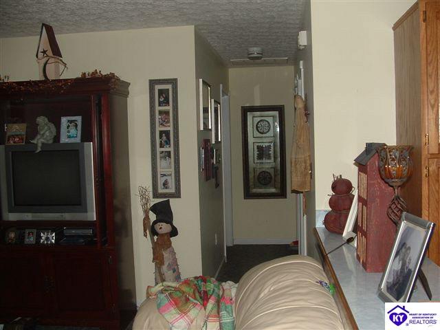 Listing Picture 1725 Mt Sherman Ward Road Magnolia, KY 42757 MLS HK10002974