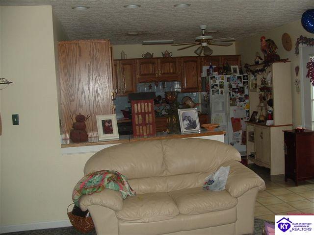 Listing Picture 1725 Mt Sherman Ward Road Magnolia, KY 42757 MLS HK10002974