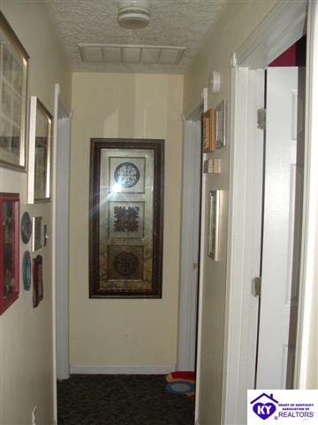 Listing Picture 1725 Mt Sherman Ward Road Magnolia, KY 42757 MLS HK10002974