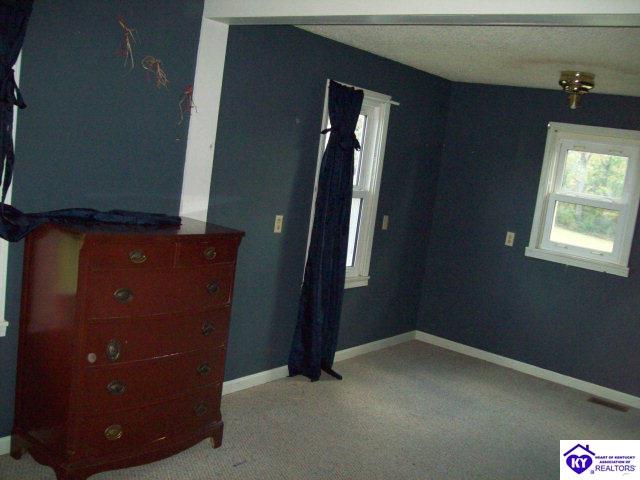 Listing Picture 1763 Summit Road Big Clifty, KY 42712 MLS HK10002982