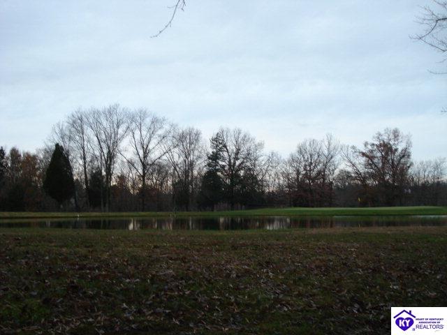 Listing Picture 509 Piping Rock Road Brandenburg, KY 40108 MLS HK10003069