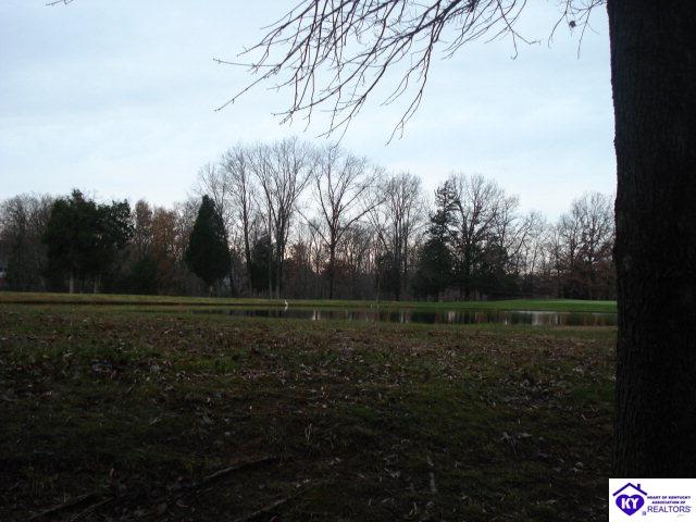 Listing Picture 509 Piping Rock Road Brandenburg, KY 40108 MLS HK10003069