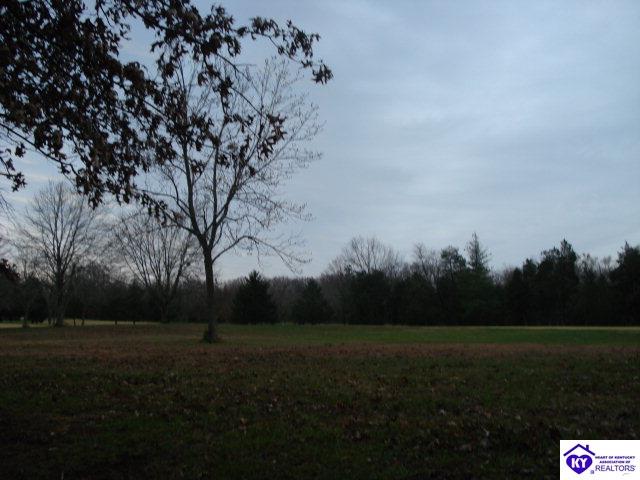 Listing Picture 509 Piping Rock Road Brandenburg, KY 40108 MLS HK10003069