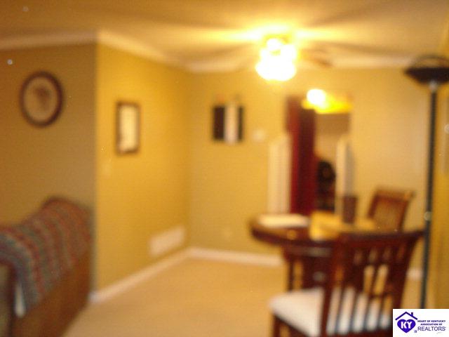 Listing Picture 509 Piping Rock Road Brandenburg, KY 40108 MLS HK10003069