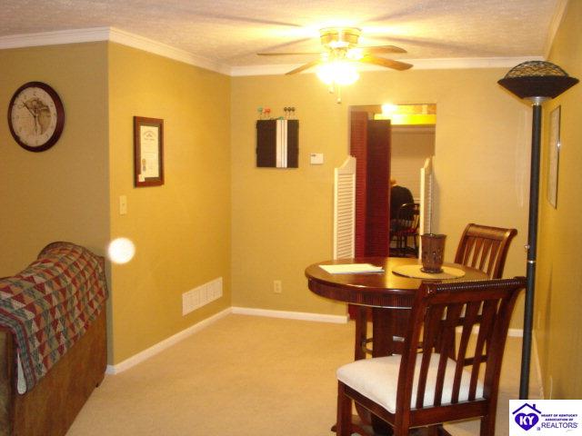 Listing Picture 509 Piping Rock Road Brandenburg, KY 40108 MLS HK10003069