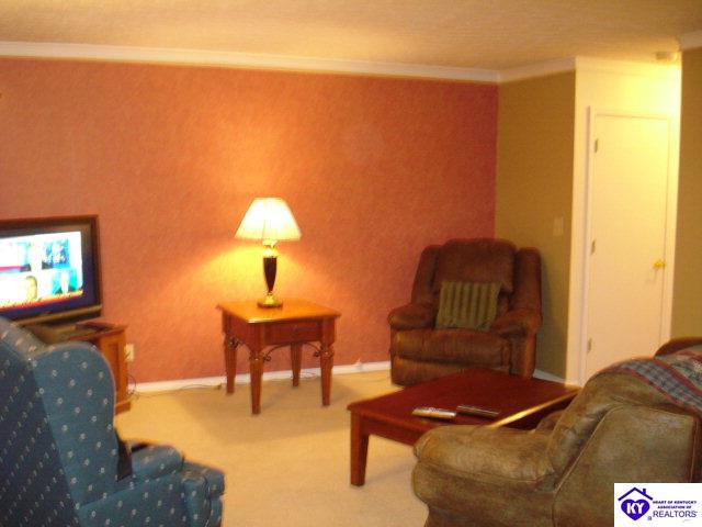 Listing Picture 509 Piping Rock Road Brandenburg, KY 40108 MLS HK10003069