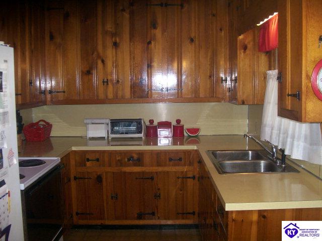 Listing Picture 303 W Market Street Leitchfield, KY 42754 MLS HK10003128