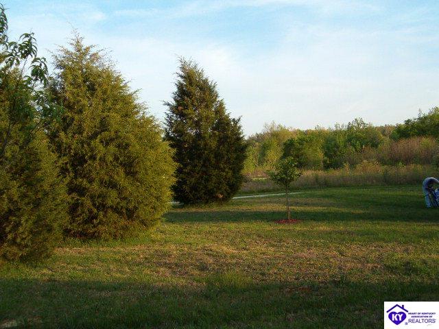 Listing Picture 0 Nolin River Park Clarkson, KY 42726 MLS HK10003153