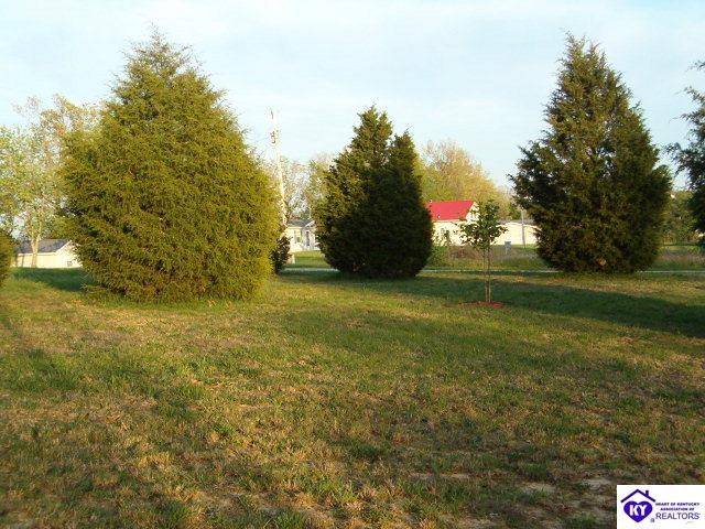 Listing Picture 0 Nolin River Park Clarkson, KY 42726 MLS HK10003153