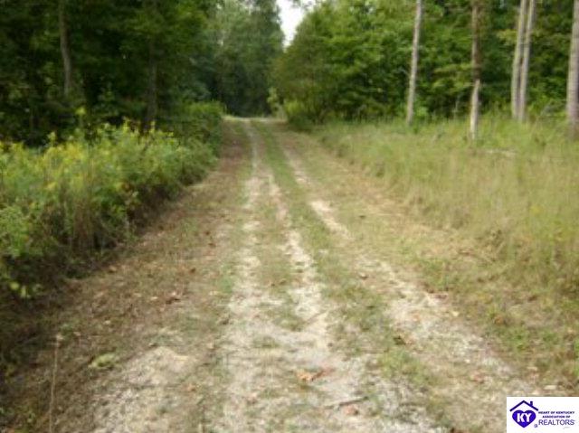 Listing Picture 489 Seminole Trail Brandenburg, KY 40108 MLS HK10003188