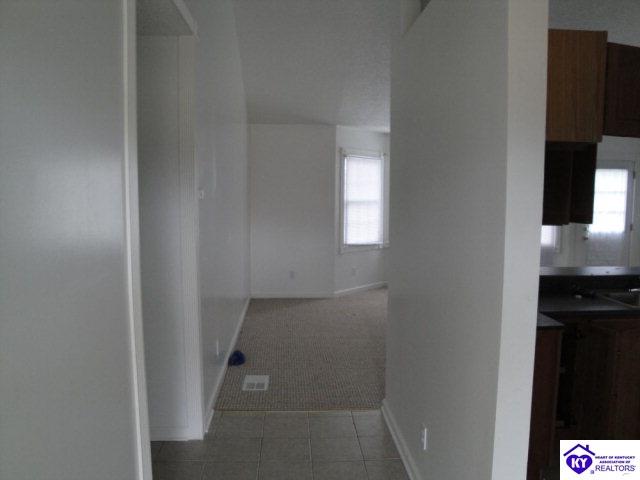 Listing Picture 260 Doe Run Ekron Road Brandenburg, KY 40108 MLS HK10003264