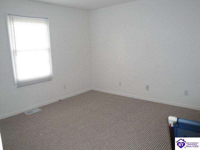 Listing Picture 260 Doe Run Ekron Road Brandenburg, KY 40108 MLS HK10003264