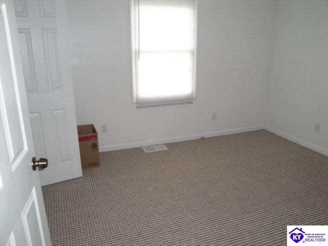 Listing Picture 260 Doe Run Ekron Road Brandenburg, KY 40108 MLS HK10003264