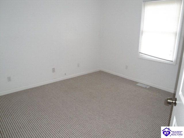 Listing Picture 260 Doe Run Ekron Road Brandenburg, KY 40108 MLS HK10003264