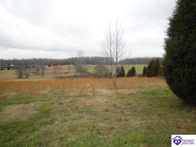 Listing Picture 260 Doe Run Ekron Road Brandenburg, KY 40108 MLS HK10003264