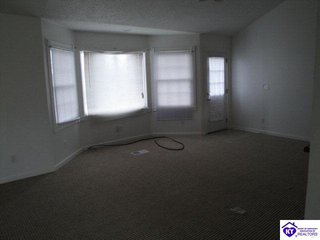 Listing Picture 260 Doe Run Ekron Road Brandenburg, KY 40108 MLS HK10003264