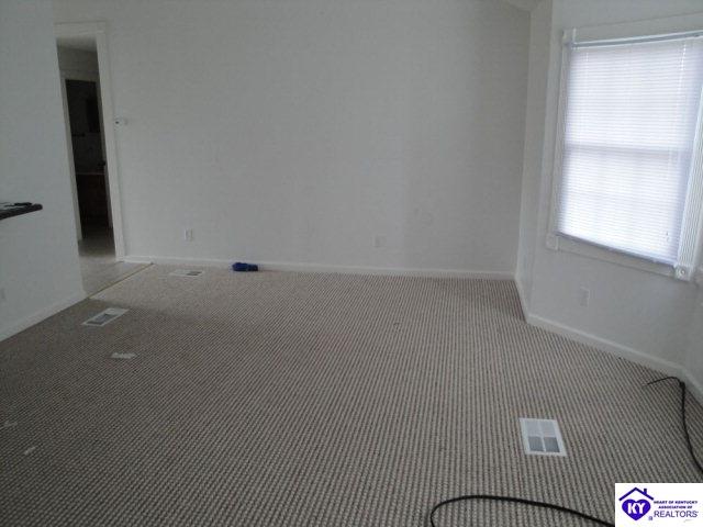 Listing Picture 260 Doe Run Ekron Road Brandenburg, KY 40108 MLS HK10003264