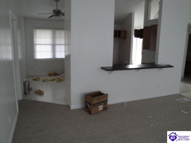 Listing Picture 260 Doe Run Ekron Road Brandenburg, KY 40108 MLS HK10003264