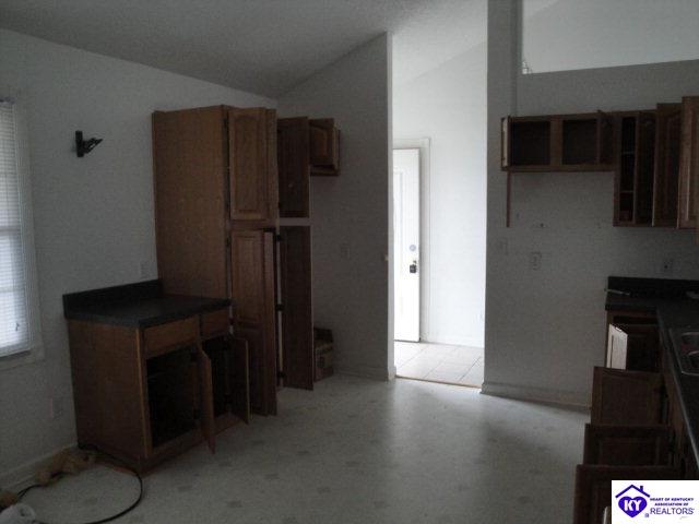 Listing Picture 260 Doe Run Ekron Road Brandenburg, KY 40108 MLS HK10003264