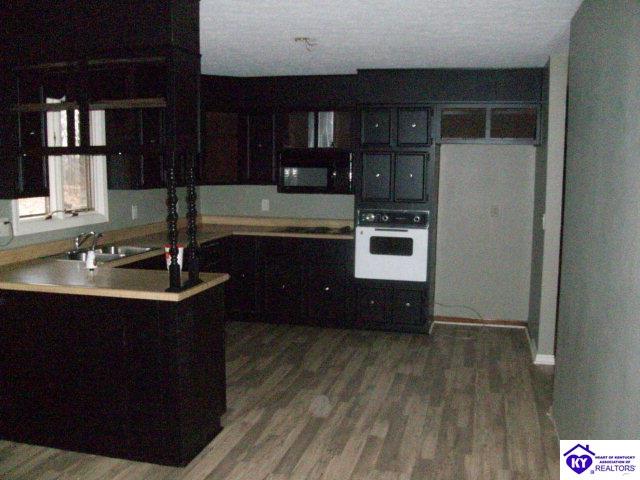 Listing Picture 128 Overlook Terrace Brandenburg, KY 40108 MLS HK10003212