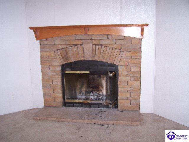 Listing Picture 93 Knob North Road Bonnieville, KY 42713 MLS HK10003291