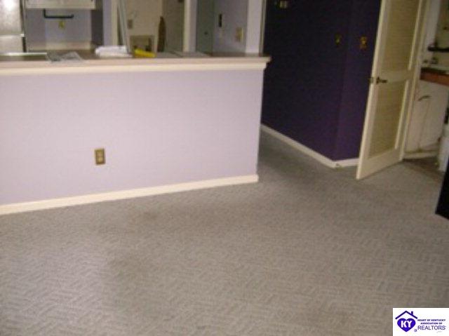 Listing Picture 364 Crescent Spring Drive Louisville, KY 40206 MLS HK10003418