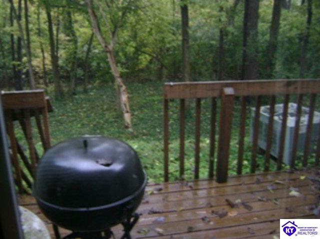 Listing Picture 364 Crescent Spring Drive Louisville, KY 40206 MLS HK10003418