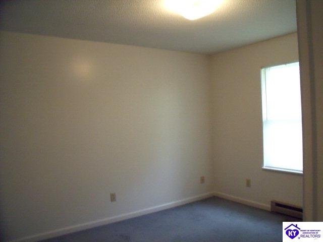 Listing Picture 172 W Airview Drive Elizabethtown, KY 42701 MLS HK10003479