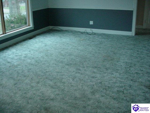 Listing Picture 303 Deepwood Drive Elizabethtown, KY 42701 MLS HK10003580