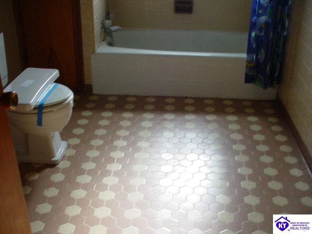 Listing Picture 865 Upton Road Magnolia, KY 42757 MLS HK10003509