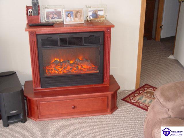 Listing Picture 1758 Logsdon Valley Cemetery Road Clarkson, KY 42726 MLS HK10003879