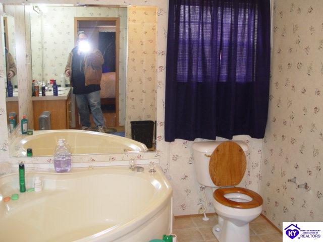 Listing Picture 1758 Logsdon Valley Cemetery Road Clarkson, KY 42726 MLS HK10003879