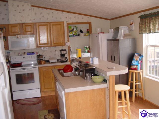 Listing Picture 1758 Logsdon Valley Cemetery Road Clarkson, KY 42726 MLS HK10003879