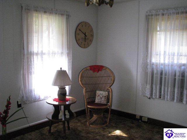 Listing Picture 514 Kirkpatrick Avenue Hodgenville, KY 42748 MLS HK10003901