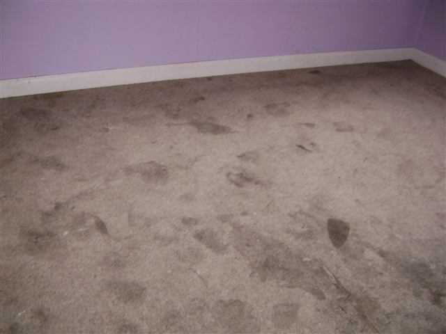 Listing Picture 3307 Bells Lane Louisville, KY 40211 MLS HK10004022