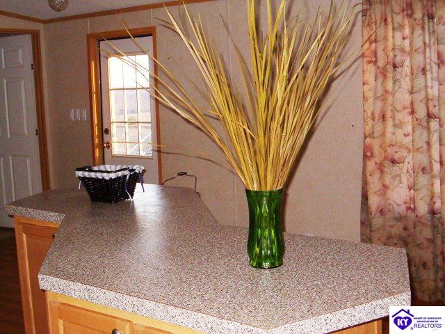 Listing Picture 271 Sadler Road Leitchfield, KY 42754 MLS HK10003998