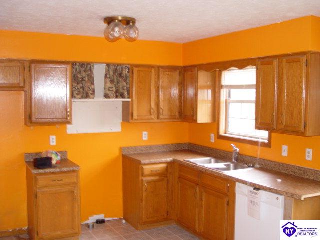 Listing Picture 1120 DeShea Drive Leitchfield, KY 42754 MLS HK10004258