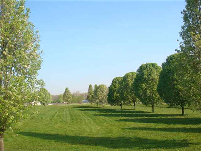 Listing Picture 990 Viers Lane Vine Grove, KY 40175 MLS HK10004616