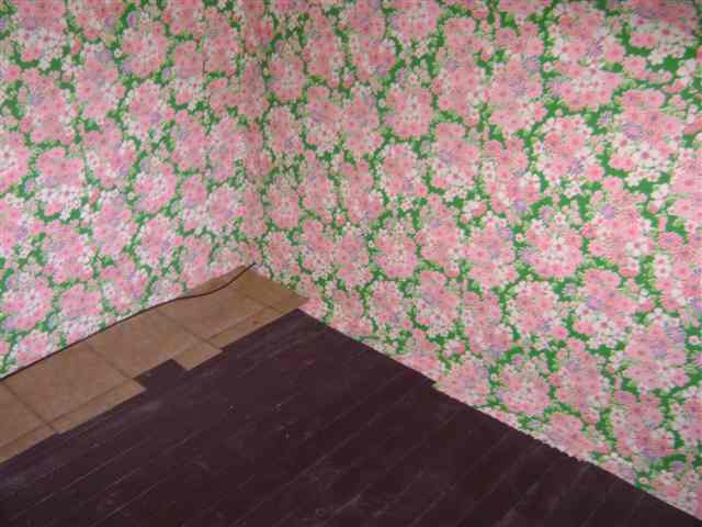 Listing Picture 611 S 43rd Street Louisville, KY 40211 MLS HK10004795