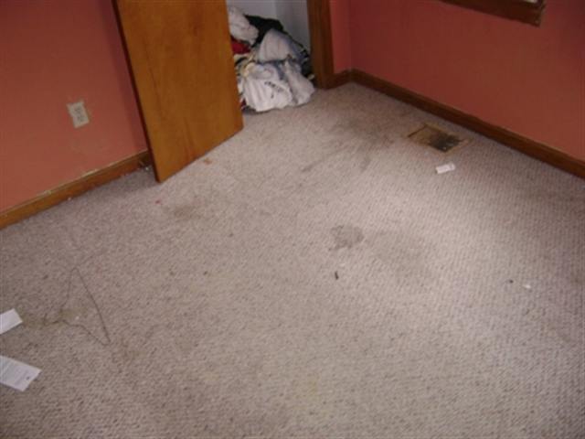 Listing Picture 1621 Earl Drive Louisville, KY 40215 MLS HK10004816