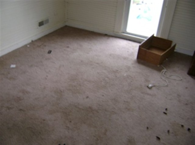 Listing Picture 18 Flora Green Road Bedford, KY 40006 MLS HK10004951