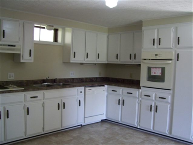 Listing Picture 1014 Jonesville Mill Road Magnolia, KY 42757 MLS HK10004978