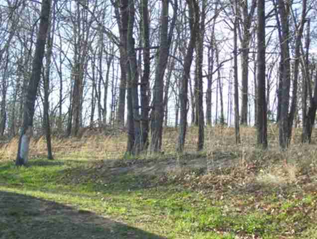 Listing Picture 1014 Jonesville Mill Road Magnolia, KY 42757 MLS HK10004978